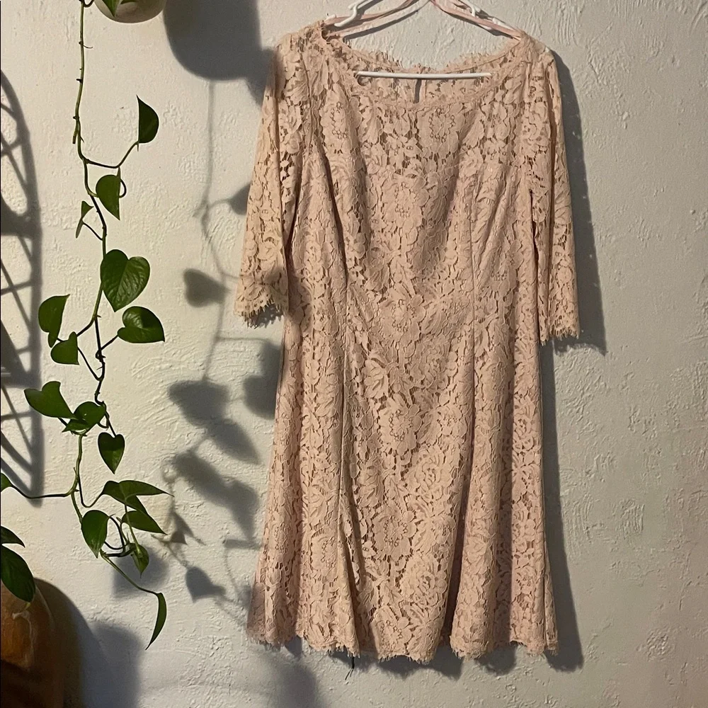 Eliza J Lace Long Sleeve Dress in Cream - Picture 2 of 8